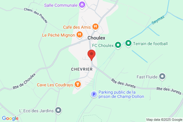 Garage Choulex SA