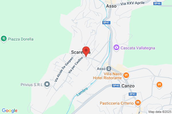 Ristorante Gatto Verde