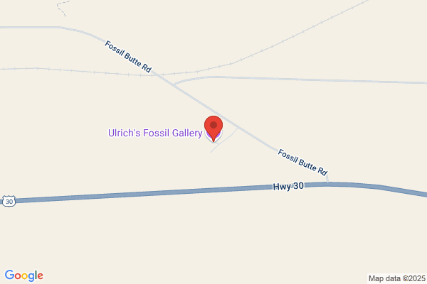 Fossil Gallery