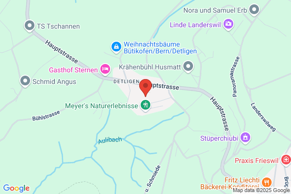 Basler Versicherungs- Gesellschaft