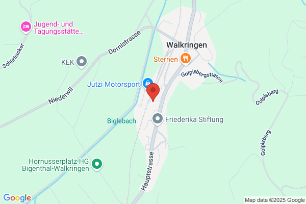 Moser Malergeschaeft