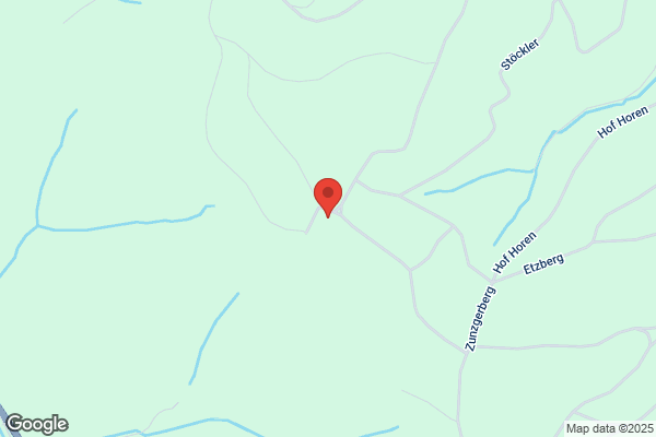 Thomas Fiechter