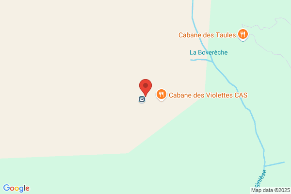 Restaurant Violettes