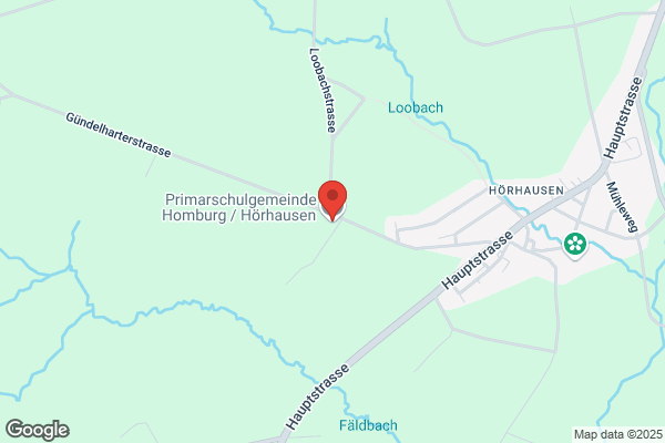 Schulhaus Homburg