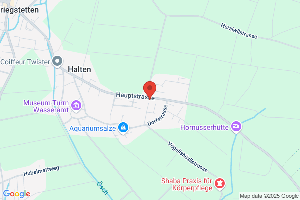 Ingenieurbuero F. Tschanz Halten