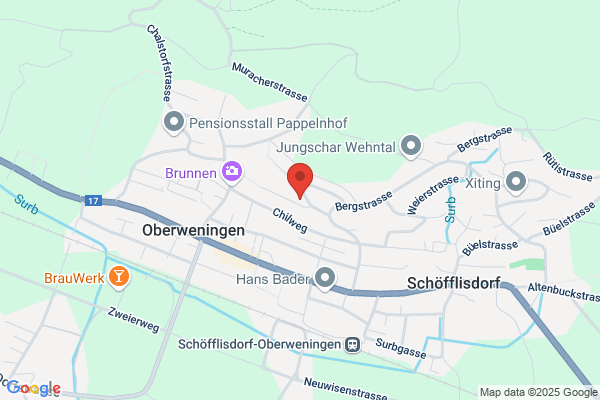 BAECHLER und WETTSTEIN