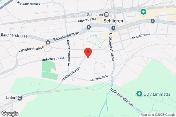 Maennerchor Schlieren