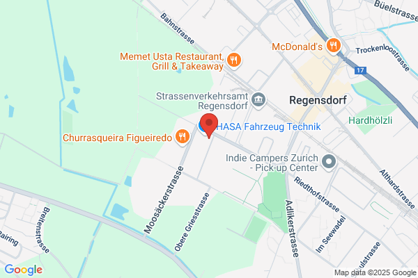 Rapid Clean Burgener