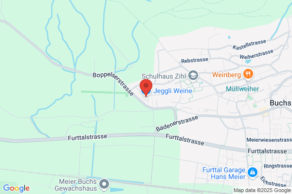 Tessiner Weine Vertrieb Zuerich AG