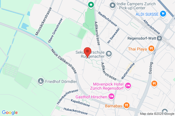 Ridli Webagentur