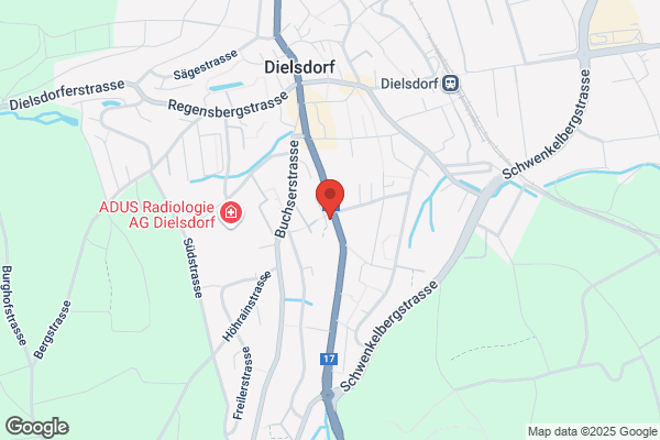 Dutler und Partner Revision AG