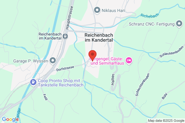 Primarschule Reichenbach
