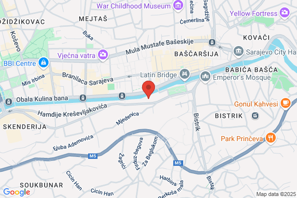Dr.med.dent. M. Manojlovic