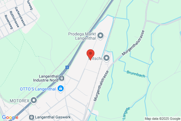Alfred Anliker