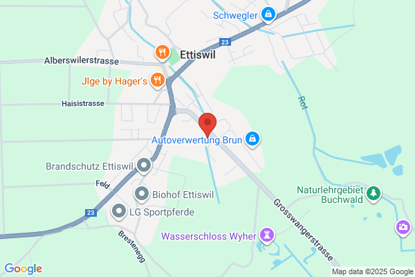 Damtec GmbH