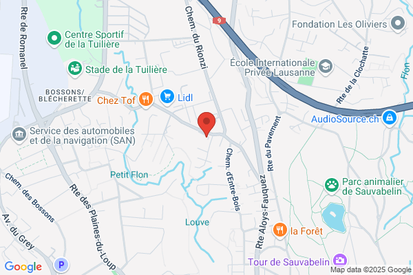 Carrosserie Palace Sàrl