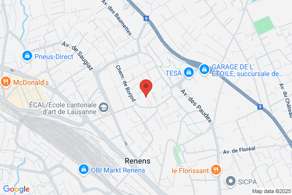 BDS Immobilier SA