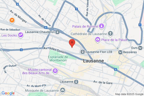 Galerie Alice Pauli