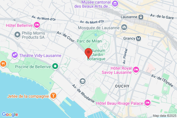 Fondation pour la recherche en psychotérapie c/o Institut universitaire