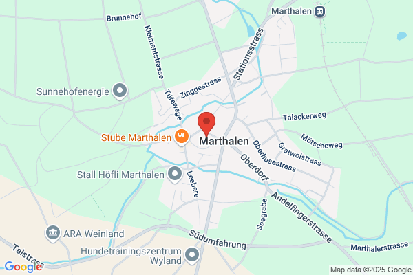 Blumen Vergissmeinnicht