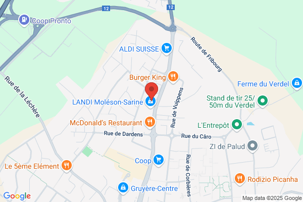 Bise Georges SA