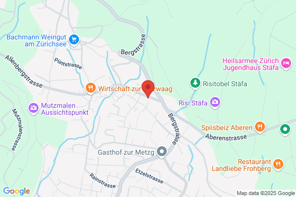 Disler-Bedachungs AG