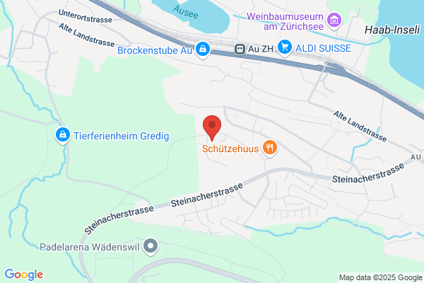 Limousine Taxi Trachsel