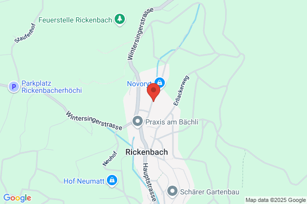 BUSSINGER
