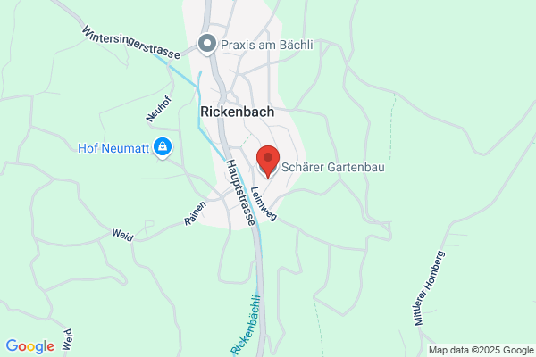 R. Schaerer Malergeschaeft und Schriftenatelier
