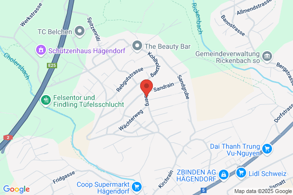 Bodex D. Bohnenblust
