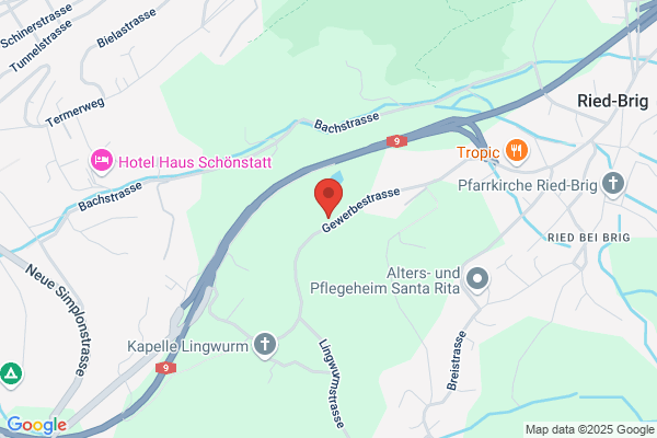 Theler Moos Ried-Brig AG