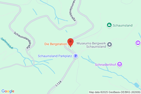 Restaurant Bergstation-Buffet