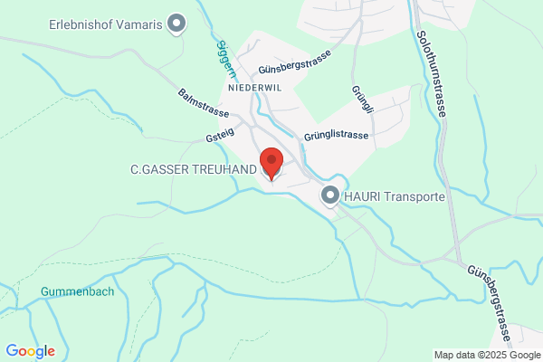 C.GASSER TREUHAND GmbH