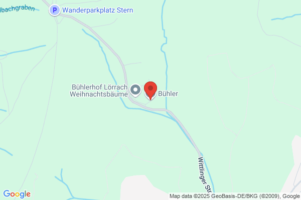 W. Buehler Aushub und Tiefbauarbeiten