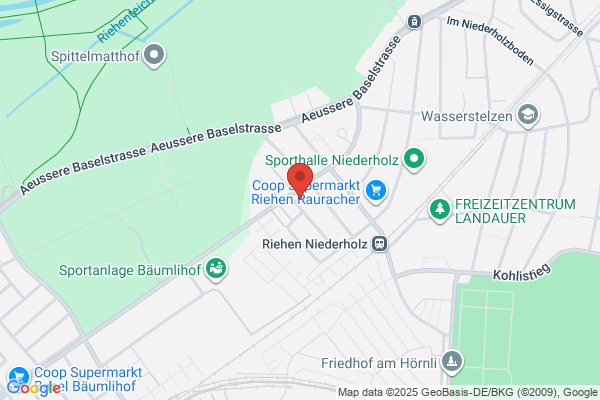 bammerlin - consulting