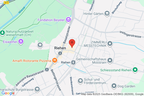 P. Roches IT + Treuhand