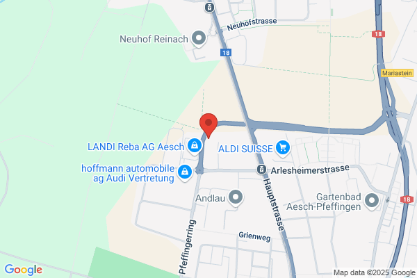 Gehoerlosen- u. Sprachheilschule Riehen