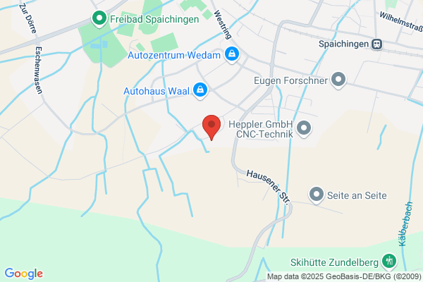 SwissPowerSystems GmbH