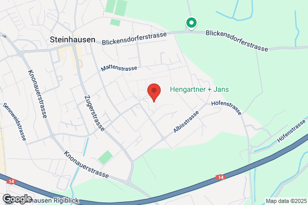 Infonautics GmbH