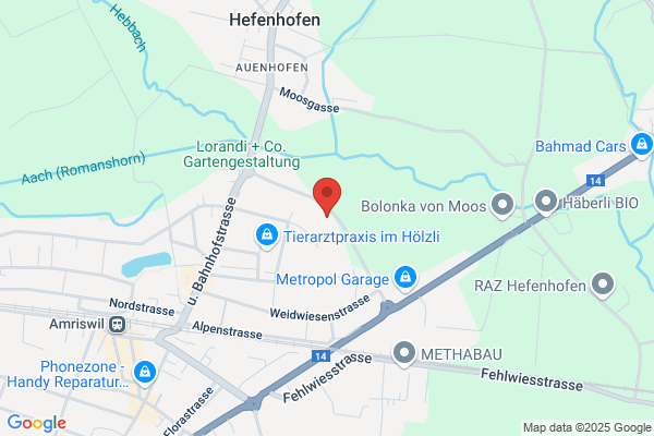 Wespi Beratungen GmbH