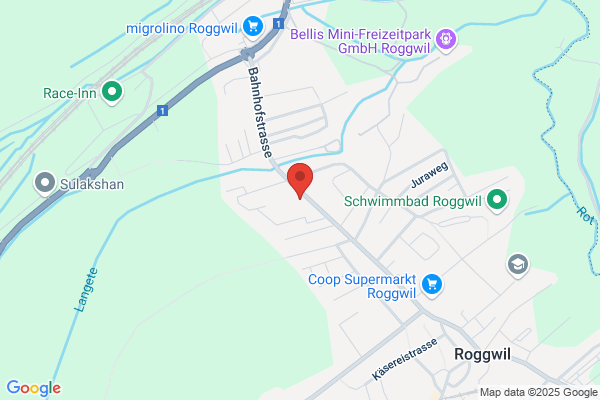 Steineberg Computershop