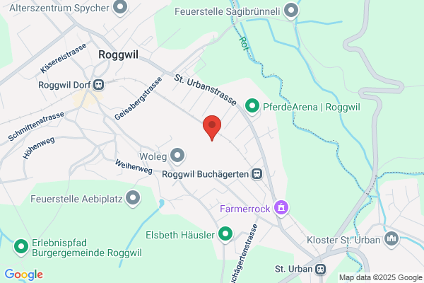 Hoenger und Co