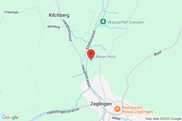 Meier Holz AG