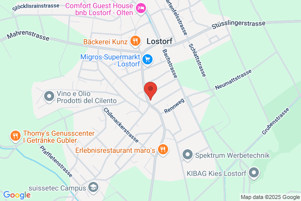 Wuelser Lostorf AG