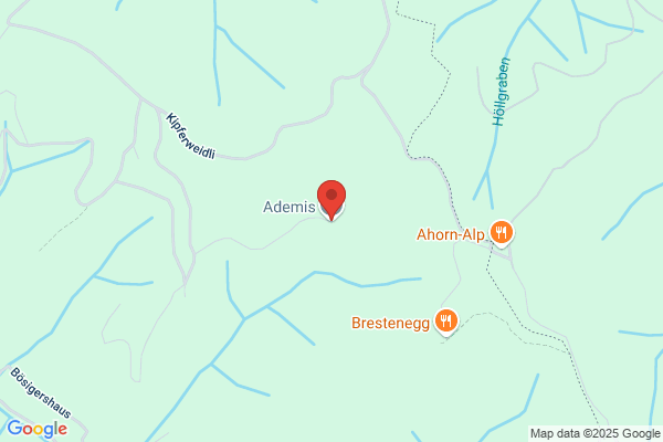 Ademis GmbH