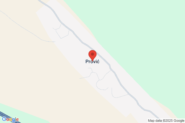 Provic SA