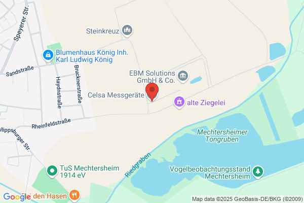 Celsa Management und Holding SA