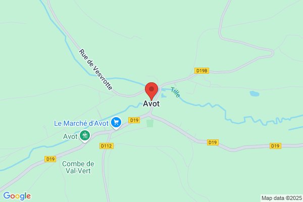A.V.O. Société des Auto-Transports
