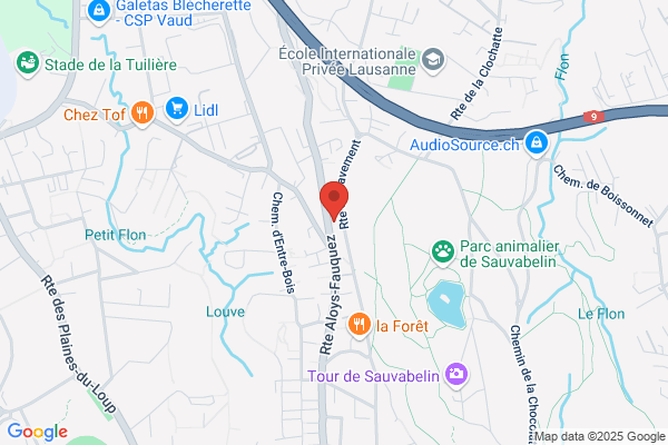 Garage P. David
