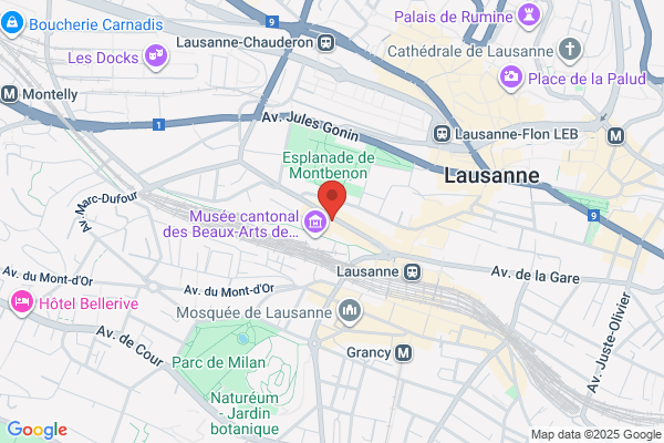 DMC Immobilier D. Perruchoud SA